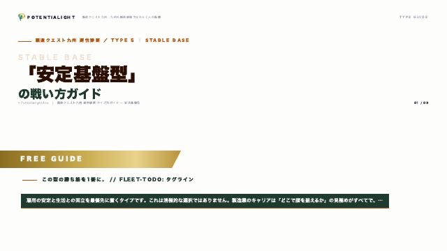 安定基盤型の戦い方ガイド 表紙